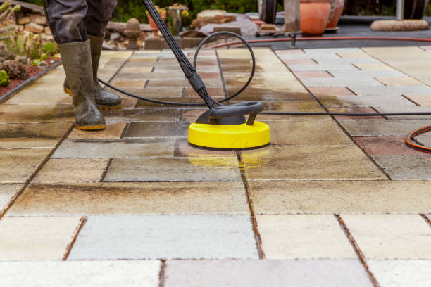 Best Sidewalk and Walkway Cleaning  in Ouray, CO